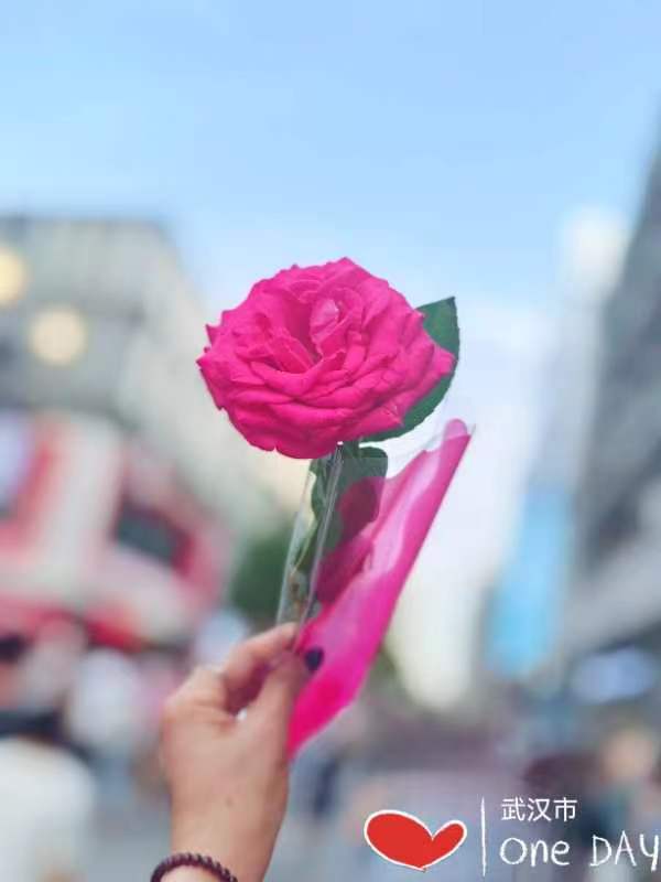 母亲节的诗语｜图/文 ．蒋卫平（武汉）