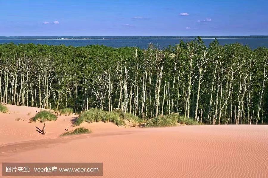 【北京头条】分享(山东诸城)优秀作家诗人孙健友老师《我钟爱姥娘家的村庄郭河套》请欣赏(图6)
