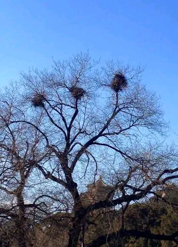 自由诗《无题》文/杨子钦（图3）