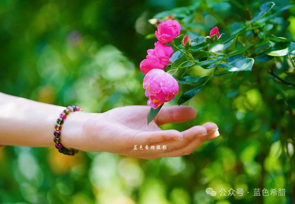 藏头诗:夏日芬芳 文/王俊杰(天津)（图3）