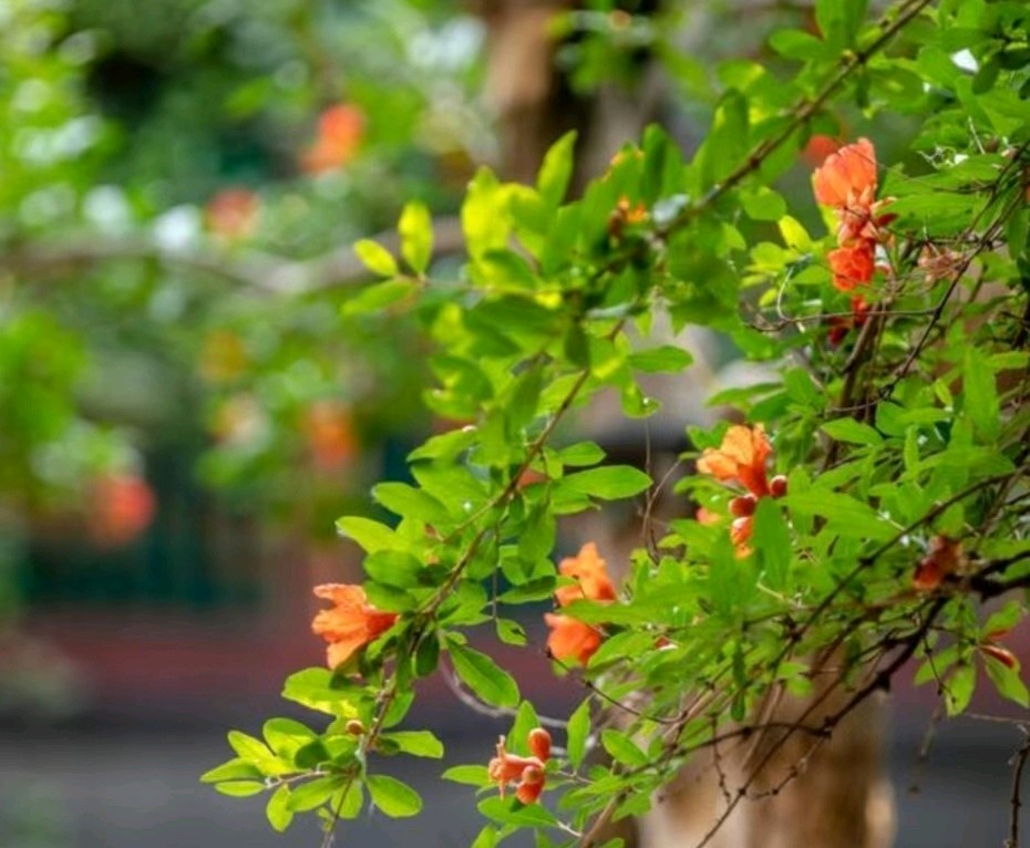 《追求每一刻的恬淡》