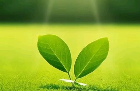 诗词名家孔繁银老师诗词收录学习（图11）