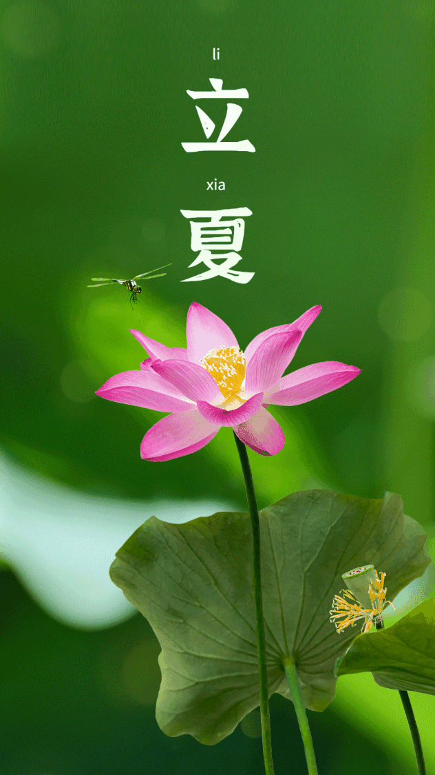 甲辰立夏（和白水老师《立夏》）/和白水老师（2首）作者/陈守邦……莲叶之珠文学社（图3）