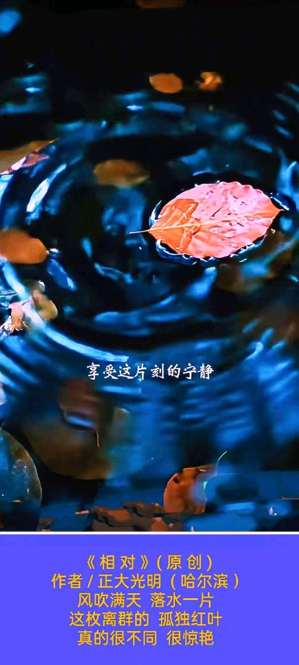 【名家风采】💖 题图微诗一组 - 相对//作者 / 正大光明 ( 哈尔滨 )//《民族诗魂》征稿//都市头条(图5)