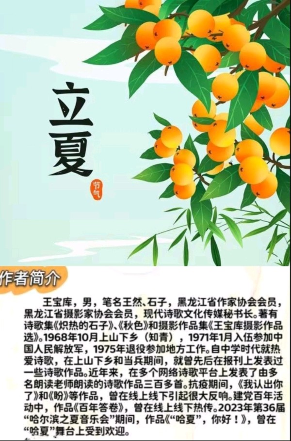 《千鹤岛的新注释》作者石子 诵读:鲁冰花 [中国现代诗歌文化传媒]（图9）