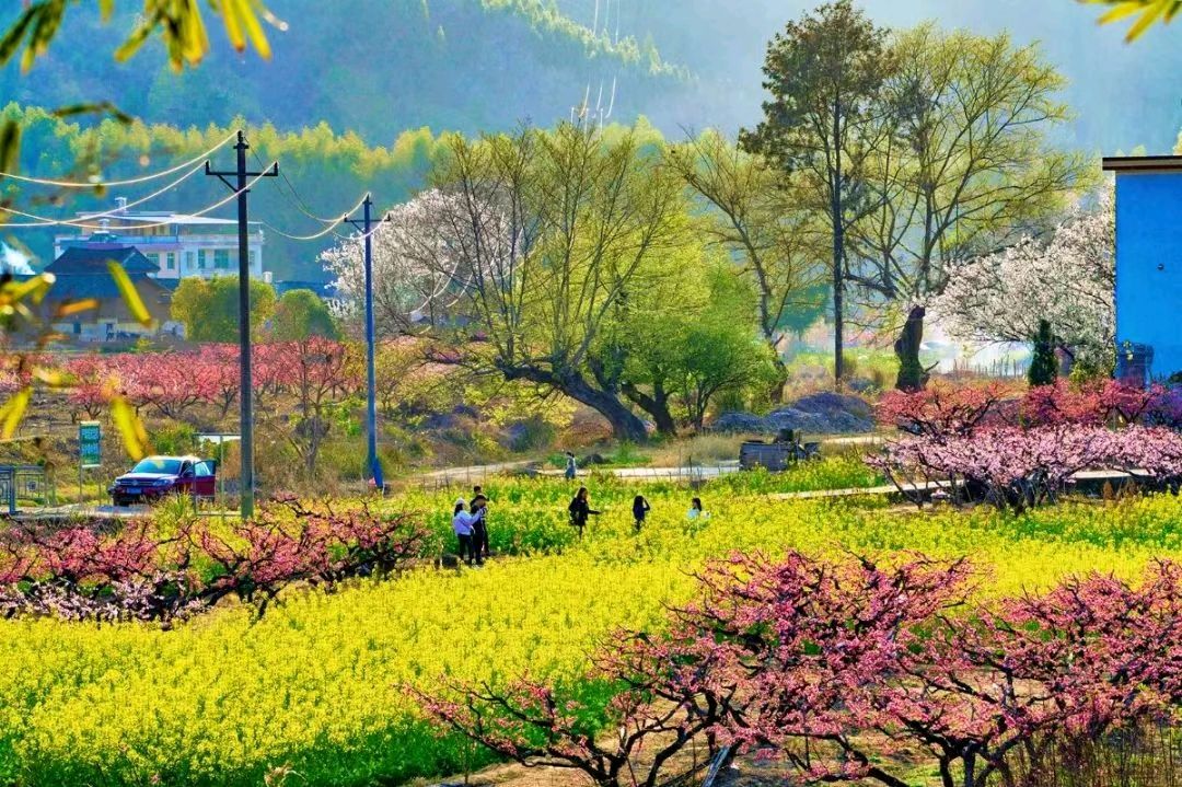《江南诗絮文化中心》5月刊（图5）