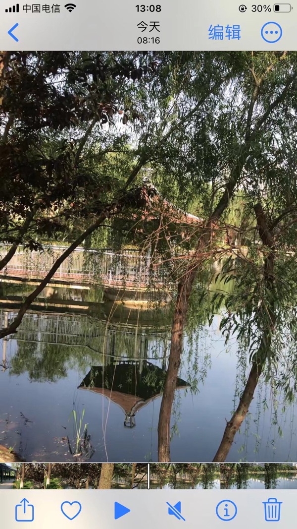《初夏镜湖》作者：朱细典（图5）