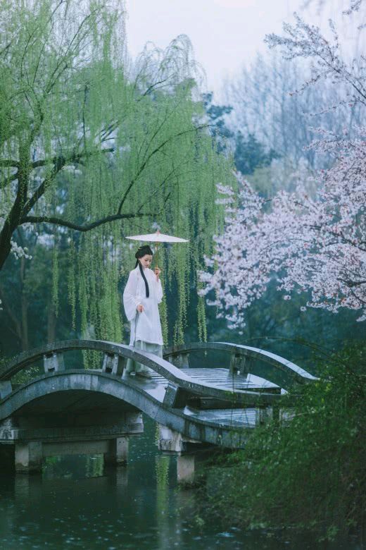 【新山东文学社】《杏花雨》作者/田歌 主播/星空（图4）