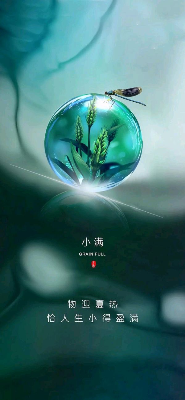 小满的北方 ‖ 作者/刘伙力 朗诵/弘华（图6）