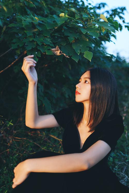 【微诗荐赏】回眸 文/北极星（图5）