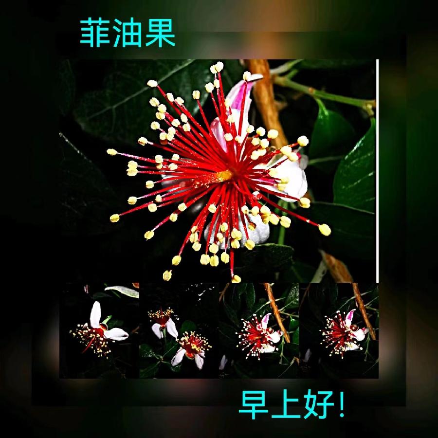 联机全球发布马洪武作品欣赏（图59）