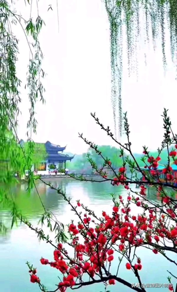 【新山东文学社】《莺啼序.不俗人生路（外三首）》作者/朱守平 主播/小小鸟（图5）