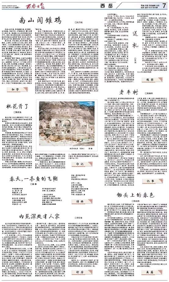南山闻雉鸡（图5）