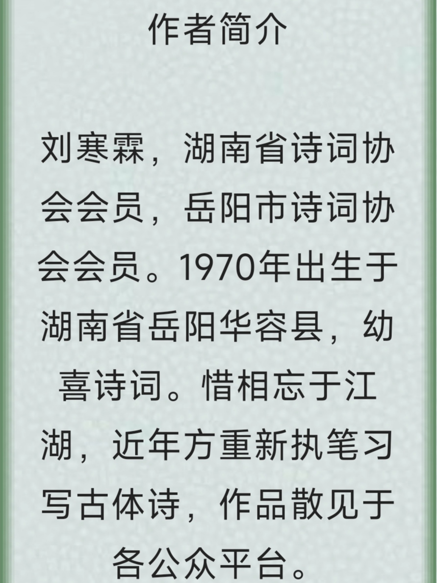 【美文赏评】我的寂寞 该向何处安放 文 / 刘寒霖(图6)