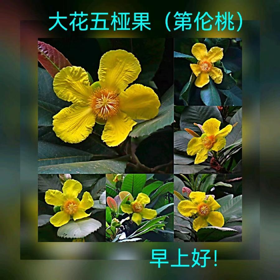 联机全球发布马洪武作品欣赏（图58）