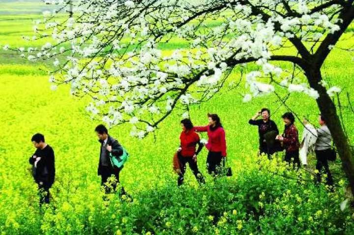 联机全球发布马洪武作品欣赏（图57）
