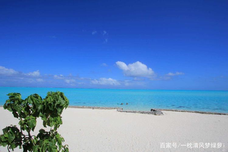 《亚洲诗艺特刊》徐有信.诗选(图9)