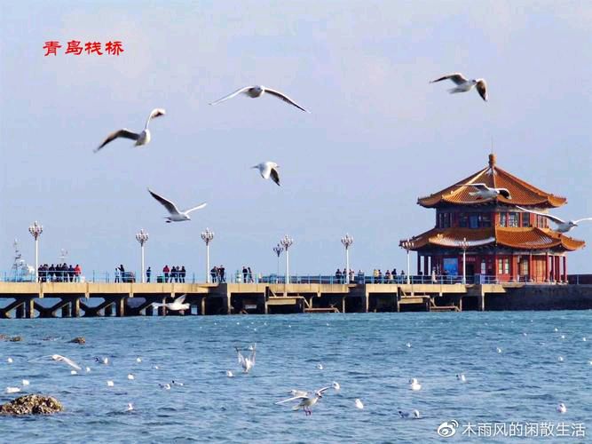 【新山东文学社】《青岛栈桥》作者/王连清 主播/天空（图4）