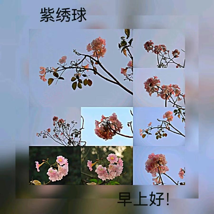 联机全球发布马洪武作品欣赏（图56）