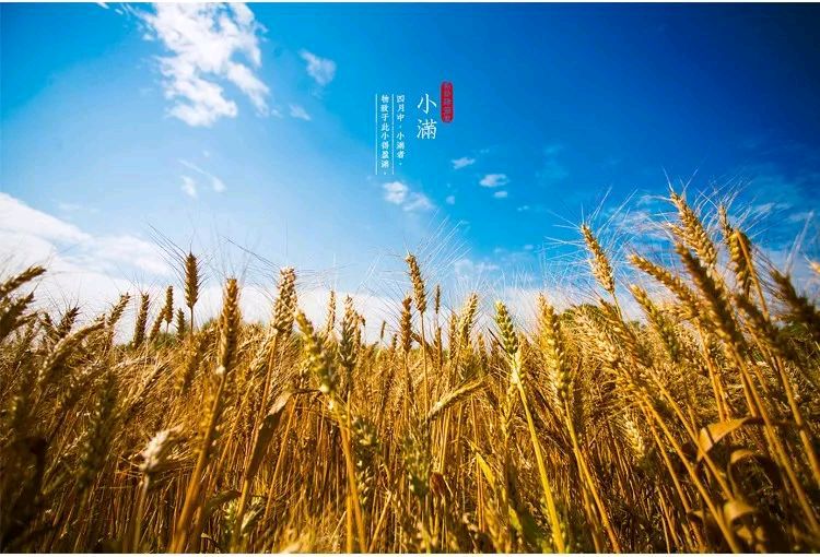 渔歌子*小满有吟金夜（兰州）（图3）