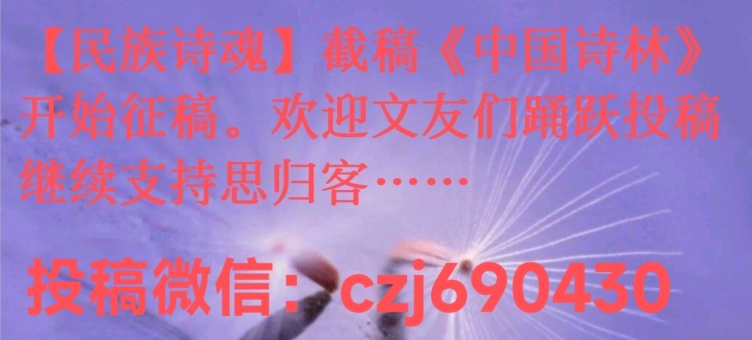 重磅消息：【民族诗魂】截稿，《中国诗林》开始征稿，欢迎文友们踊跃投稿，继续支持思归客……（图2）