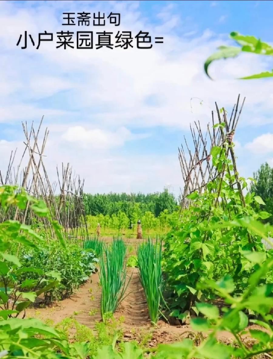 【都市头条向幸福出发编辑部】第11446期 云霞群诗联园地 60（总编 刘玉斋）