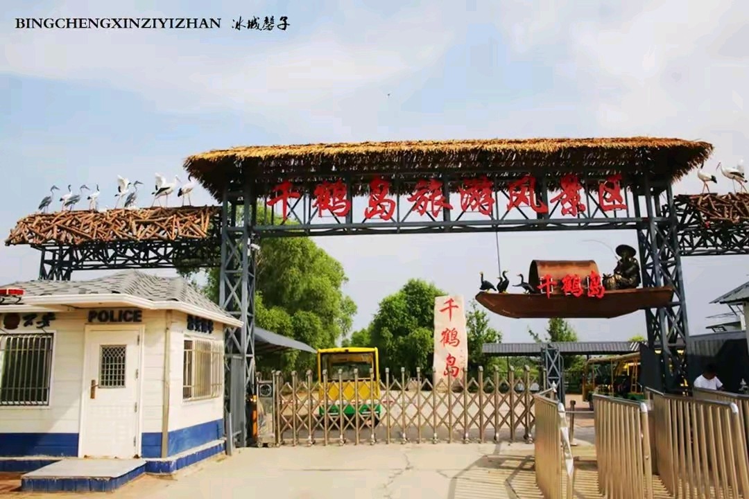 《千鹤岛的新注释》作者石子 诵读:鲁冰花 [中国现代诗歌文化传媒]（图5）