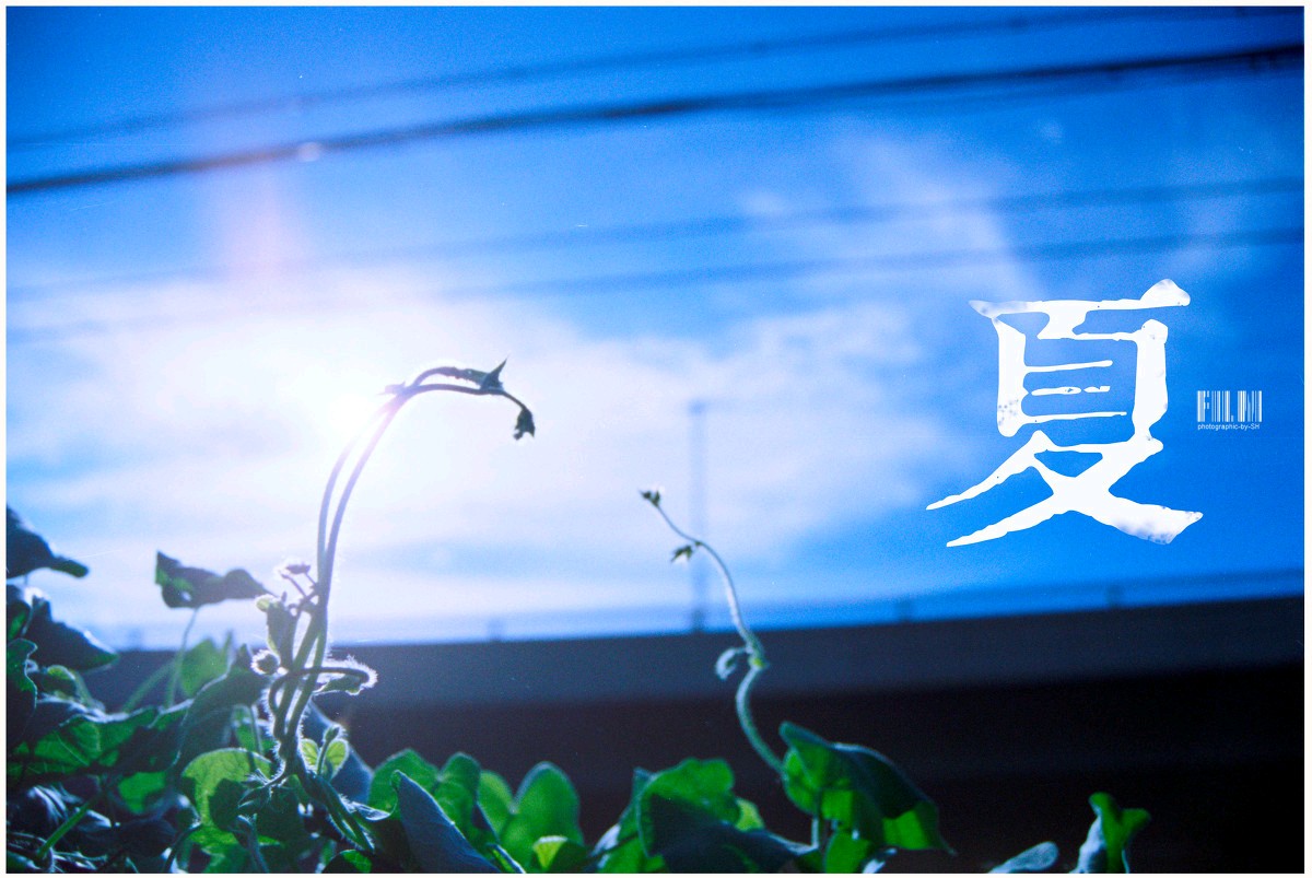 《夏的印象》作者:思凡 诵读:园园 [中国现代诗歌文化传媒]（图5）