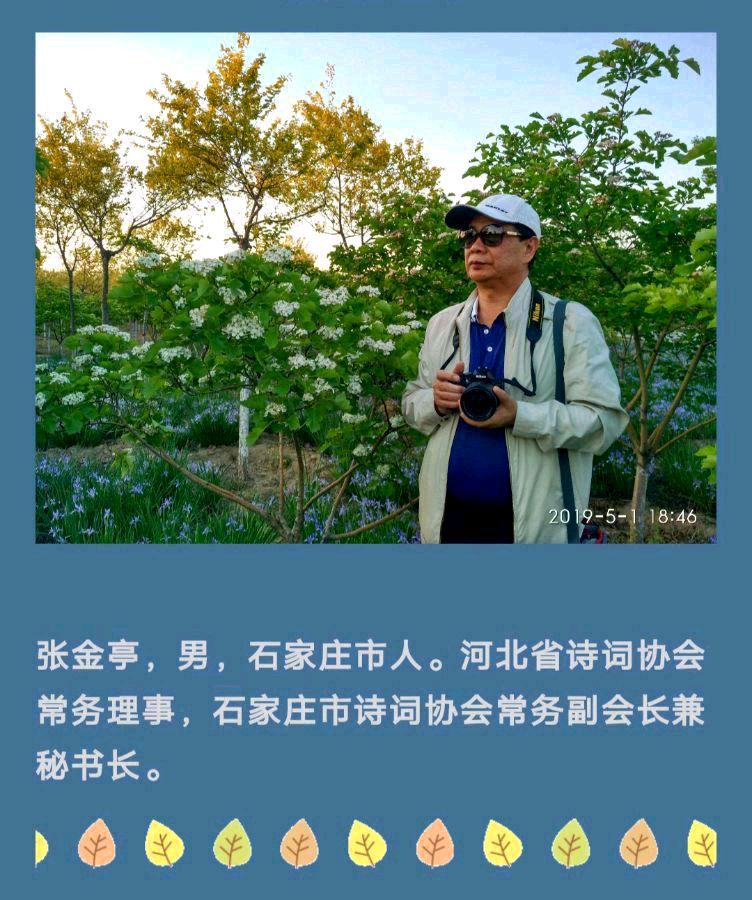 张金亭《忆慈母》（图5）