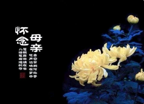 《没有妈妈的“母亲节”》作者/吴人民 诵读/馨声 编辑制作/雨杉【花雨馨声】第638期（图8）