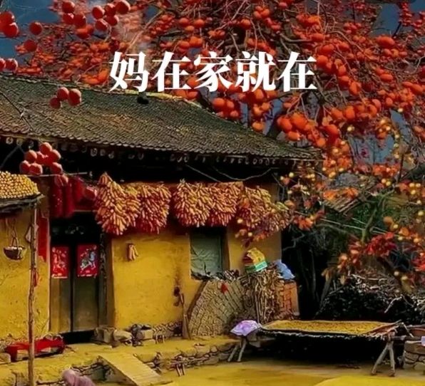 《没有妈妈的“母亲节”》作者/吴人民 诵读/馨声 编辑制作/雨杉【花雨馨声】第638期（图11）