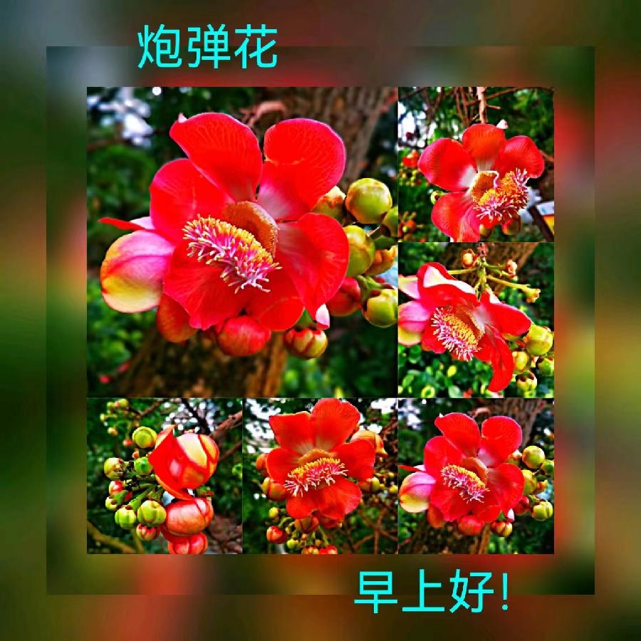 联机全球发布马洪武作品欣赏（图55）