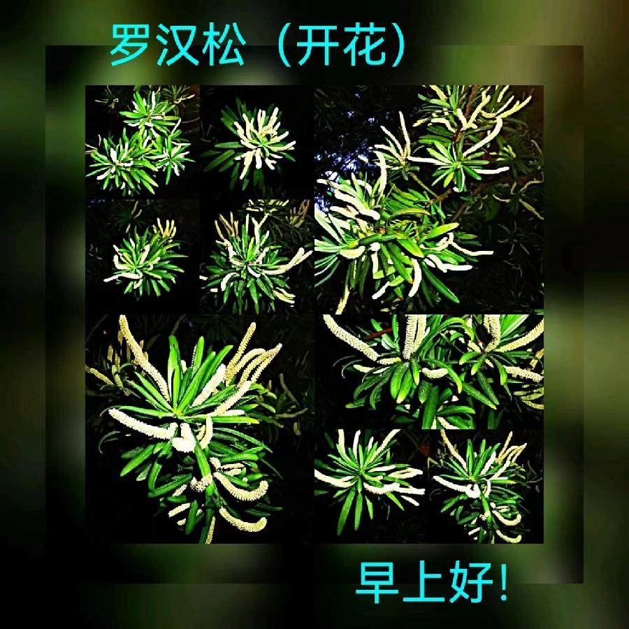 联机全球发布马洪武作品欣赏（图54）