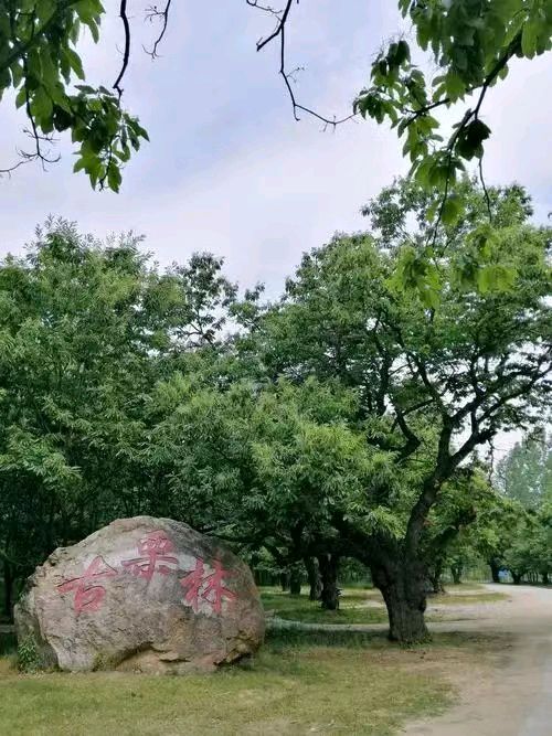 韩庚的《石滚河古栗园闲游寄吟》
