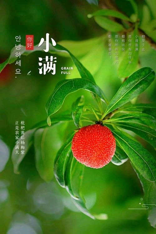 【专题推荐】杨武军//小满有思（图3）