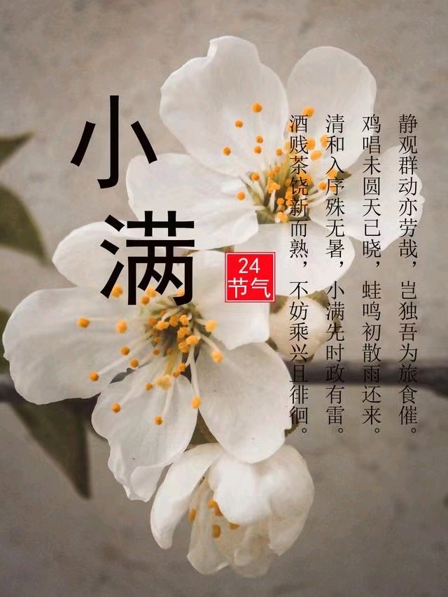 《九江文学社》《甲辰小满节气》专刊（图19）