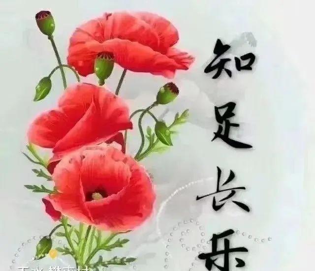 《九江文学社》《甲辰小满节气》专刊（图8）