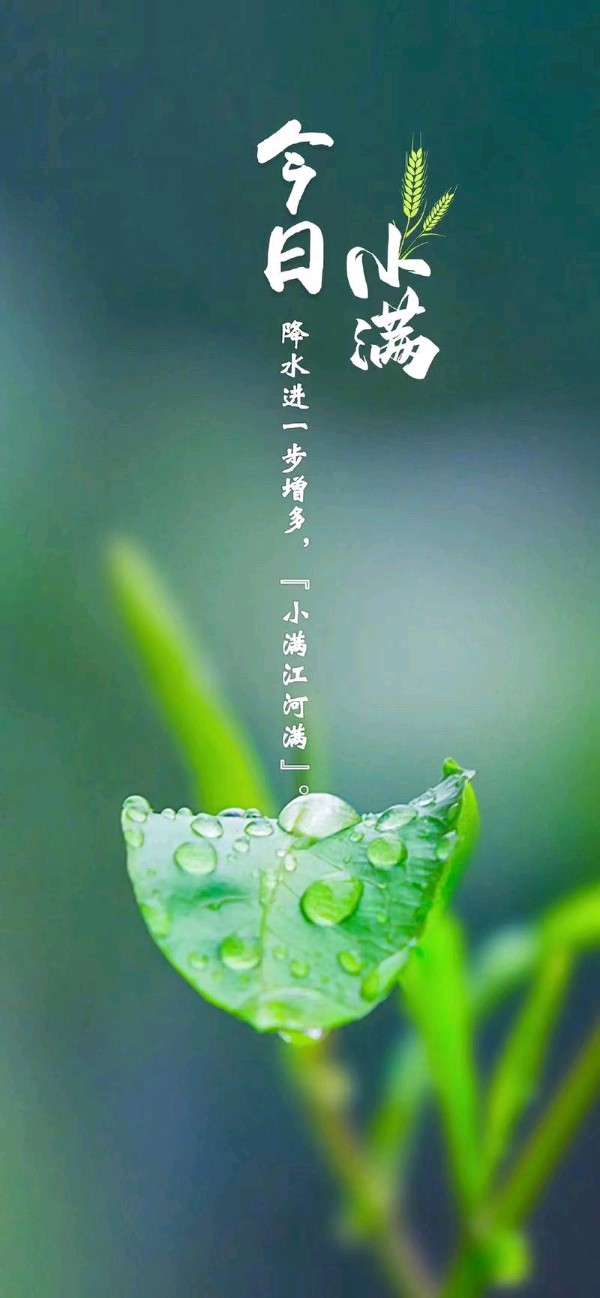 《九江文学社》《甲辰小满节气》专刊（图12）