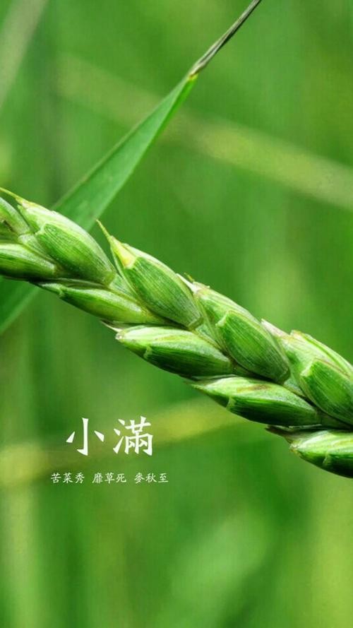 联机全球发布王铁忠作品欣赏(图41)