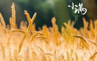 联机全球发布王铁忠作品欣赏(图40)