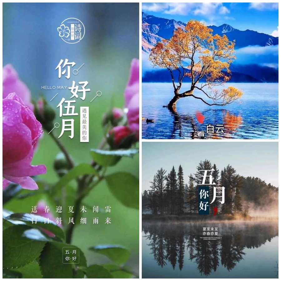 【重磅推出】鲁坡//若能相守望常顾盼奕小满（图7）