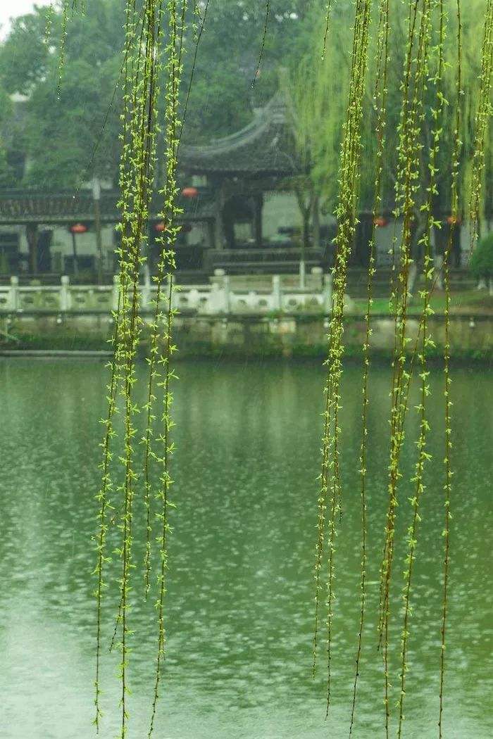 细河抒怀～诗||冰清玉洁（图9）