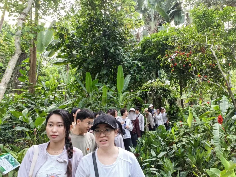 【允美教育集团 】“党建红”引领“生态绿”，党团共护绿色家园（图4）