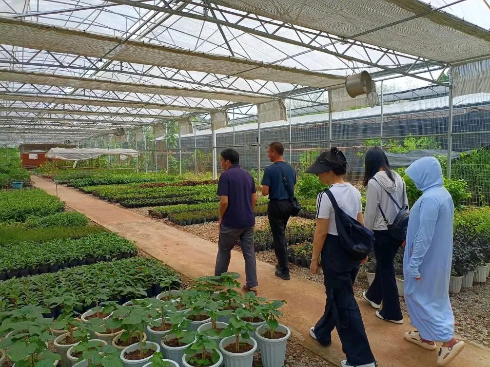 【允美教育集团 】“党建红”引领“生态绿”，党团共护绿色家园（图10）