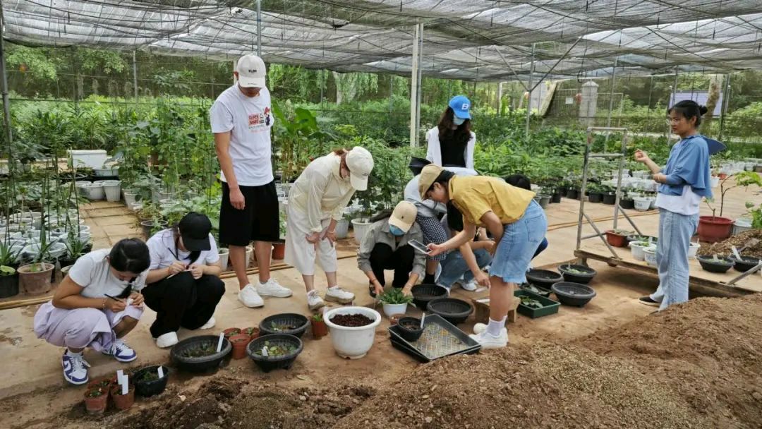 【允美教育集团 】“党建红”引领“生态绿”，党团共护绿色家园（图11）