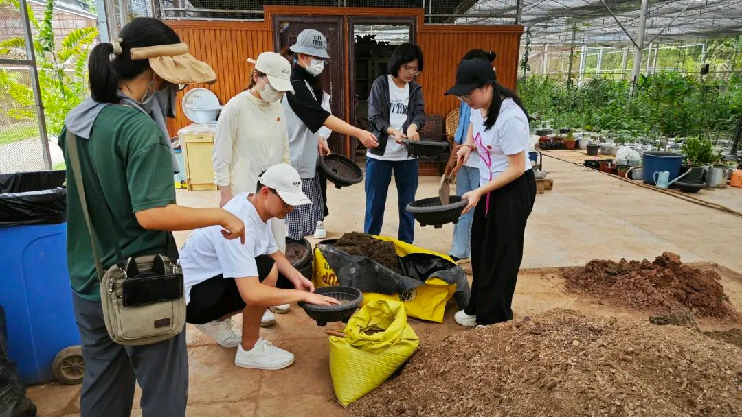 【允美教育集团 】“党建红”引领“生态绿”，党团共护绿色家园（图12）