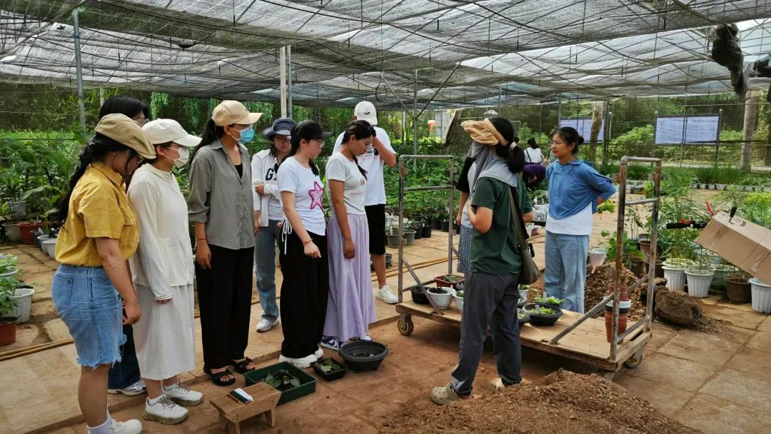 【允美教育集团 】“党建红”引领“生态绿”，党团共护绿色家园（图13）