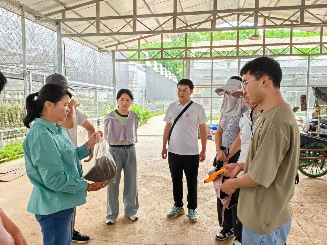 【允美教育集团 】“党建红”引领“生态绿”，党团共护绿色家园（图15）