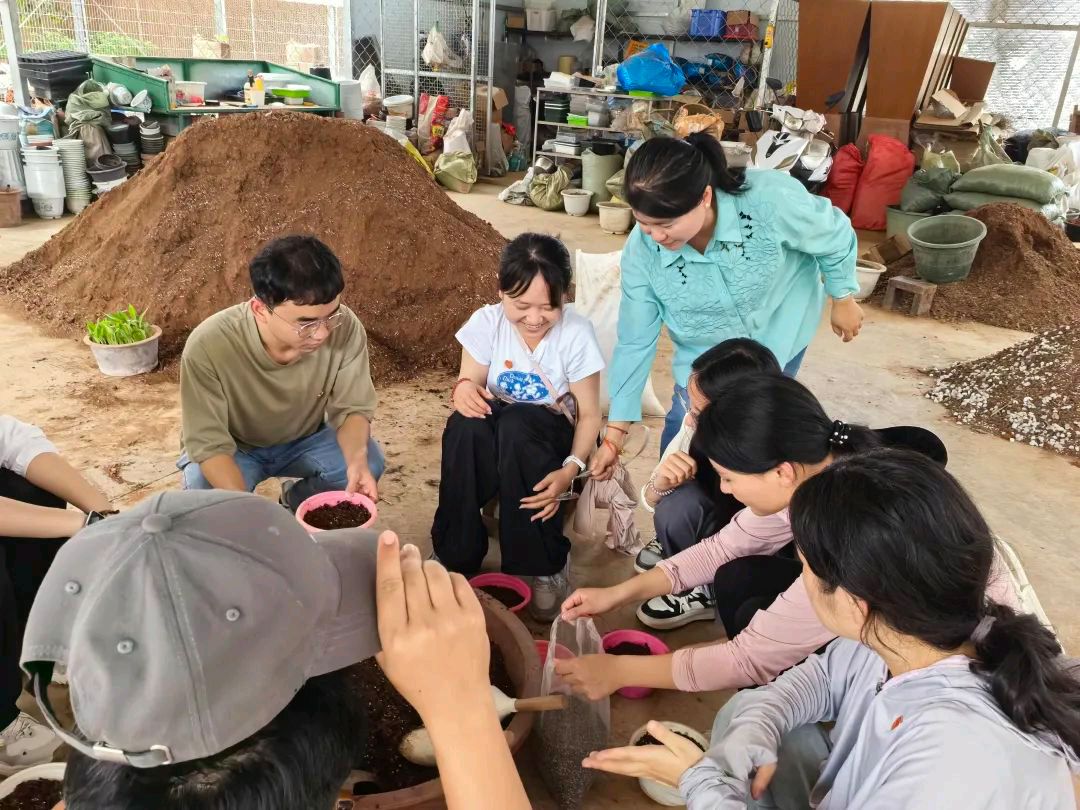 【允美教育集团 】“党建红”引领“生态绿”，党团共护绿色家园（图18）