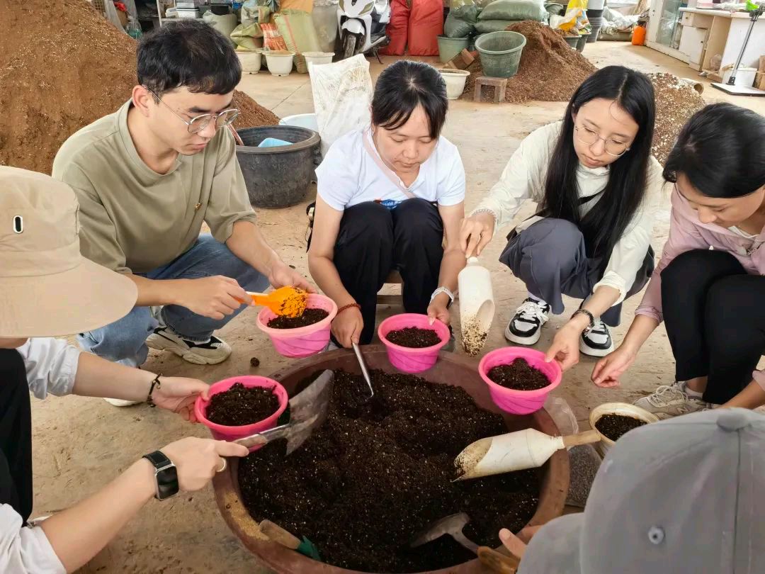 【允美教育集团 】“党建红”引领“生态绿”，党团共护绿色家园（图16）